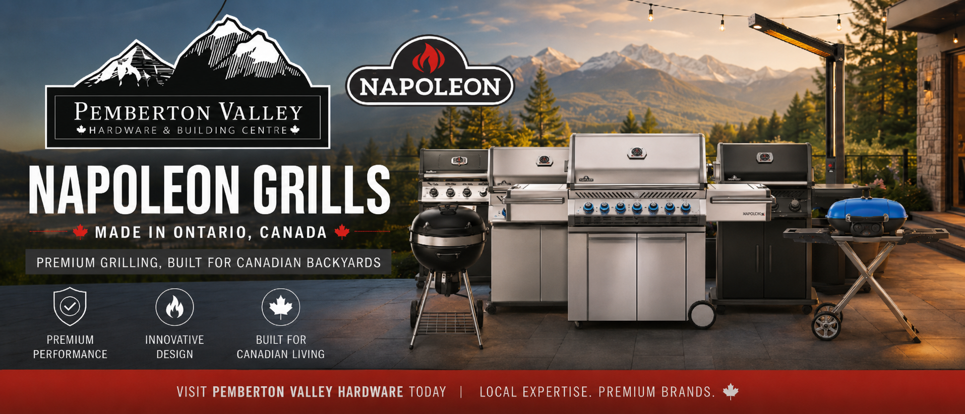 Napoleon Grills